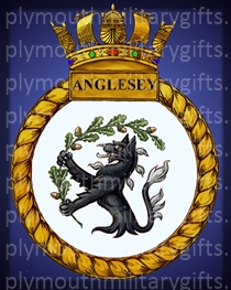 HMS Anglesey Magnet